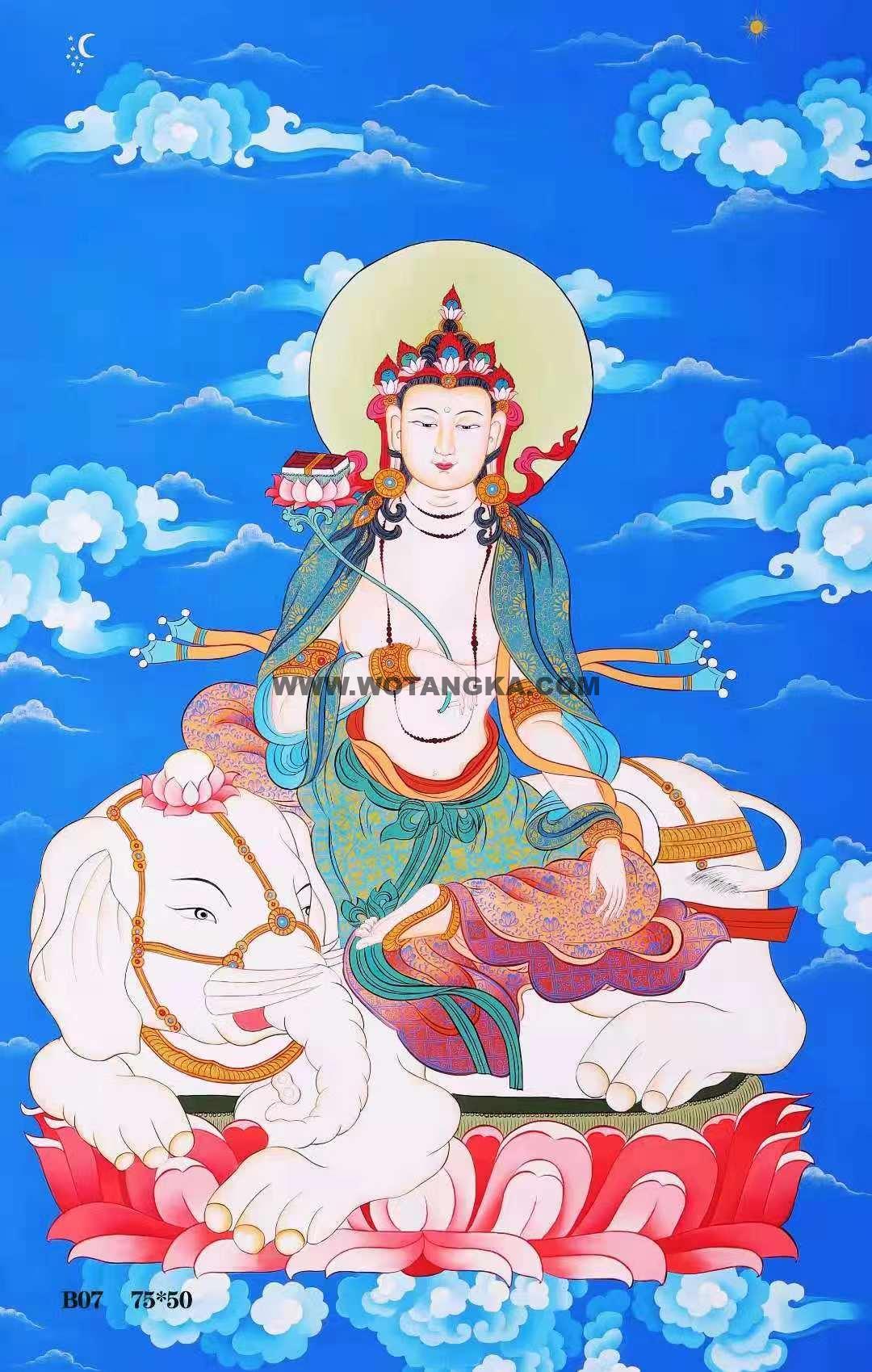 编号138-666018：彩绘唐卡-普贤菩萨（75*50CM左右）