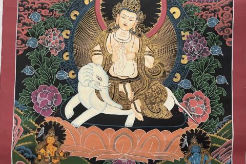 编号188-626627：彩绘唐卡-普贤菩萨（62*48CM左右）