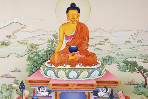 编号168-801801：嘎玛嘎赤-释迦牟尼佛（72*50CM左右）