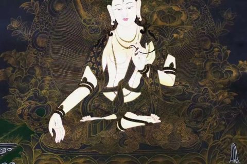 编号138-376089：黑金唐卡-白度母（61*42CM左右）