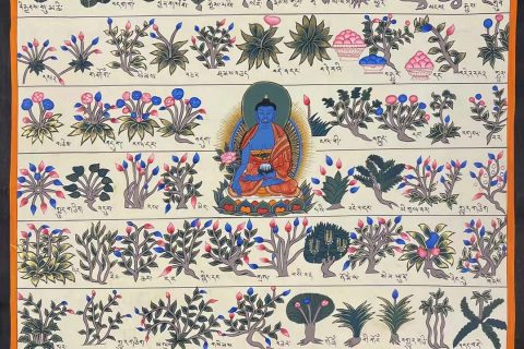 编号162-122672：彩绘唐卡-药师佛·藏药图（110*90CM左右）