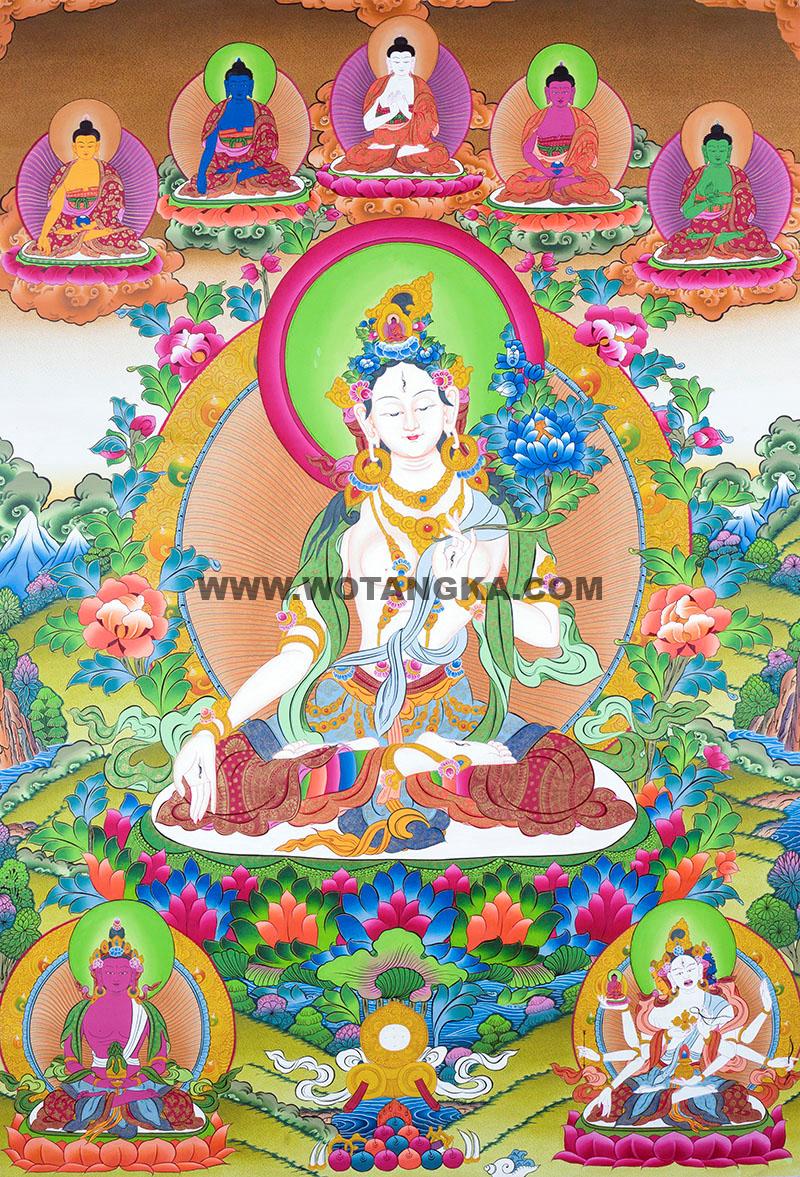 彩绘唐卡-白度母