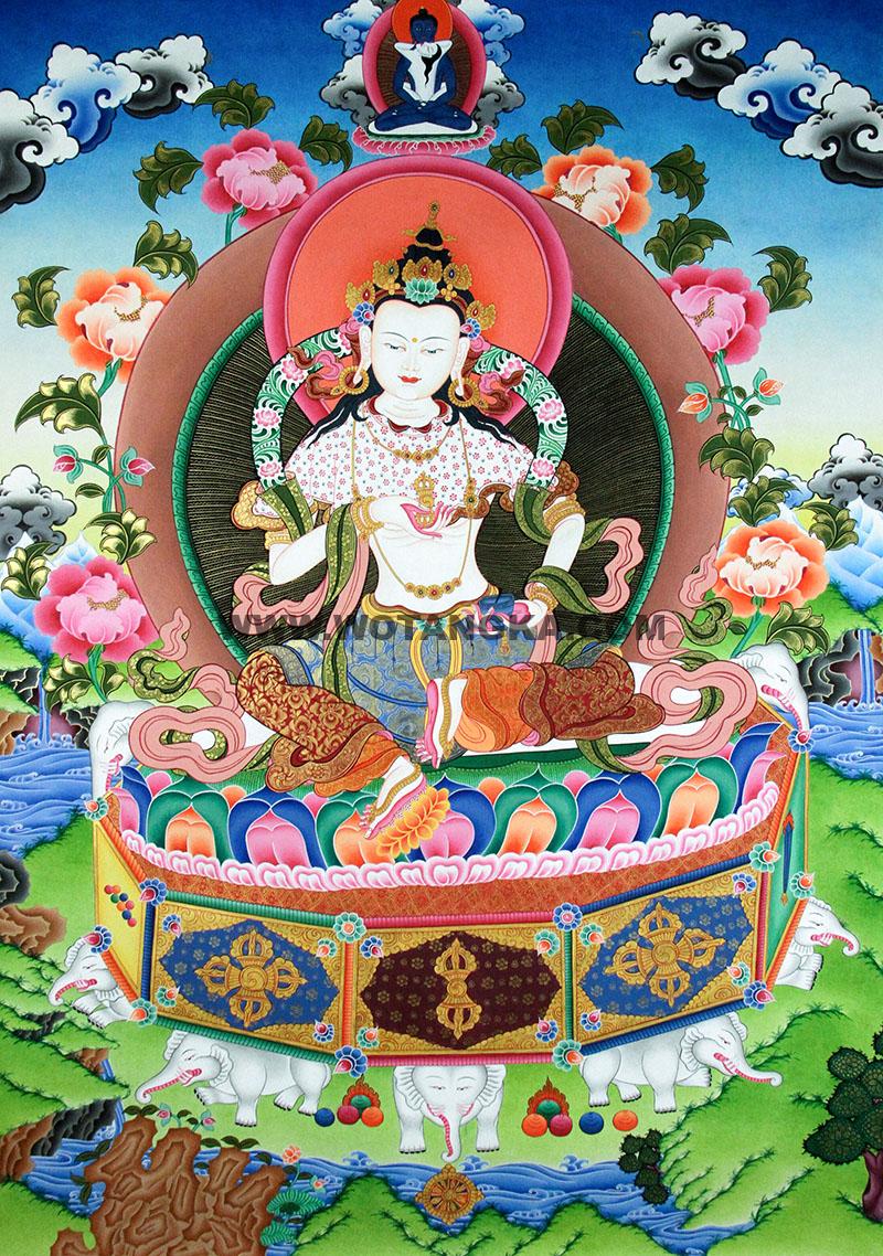 编号188-710304：彩绘唐卡-金刚萨埵（65*45CM左右）