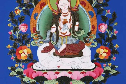 编号138-769295：彩绘唐卡-普贤菩萨（69*50CM左右）
