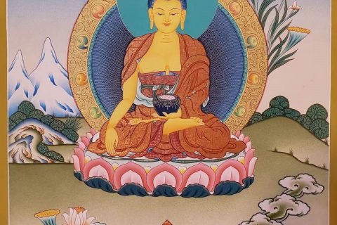 编号160-508203：嘎玛嘎赤-释迦牟尼佛（70*50CM左右）
