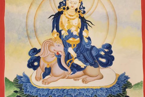 编号160-490760：彩绘唐卡-普贤菩萨（60*45CM左右）