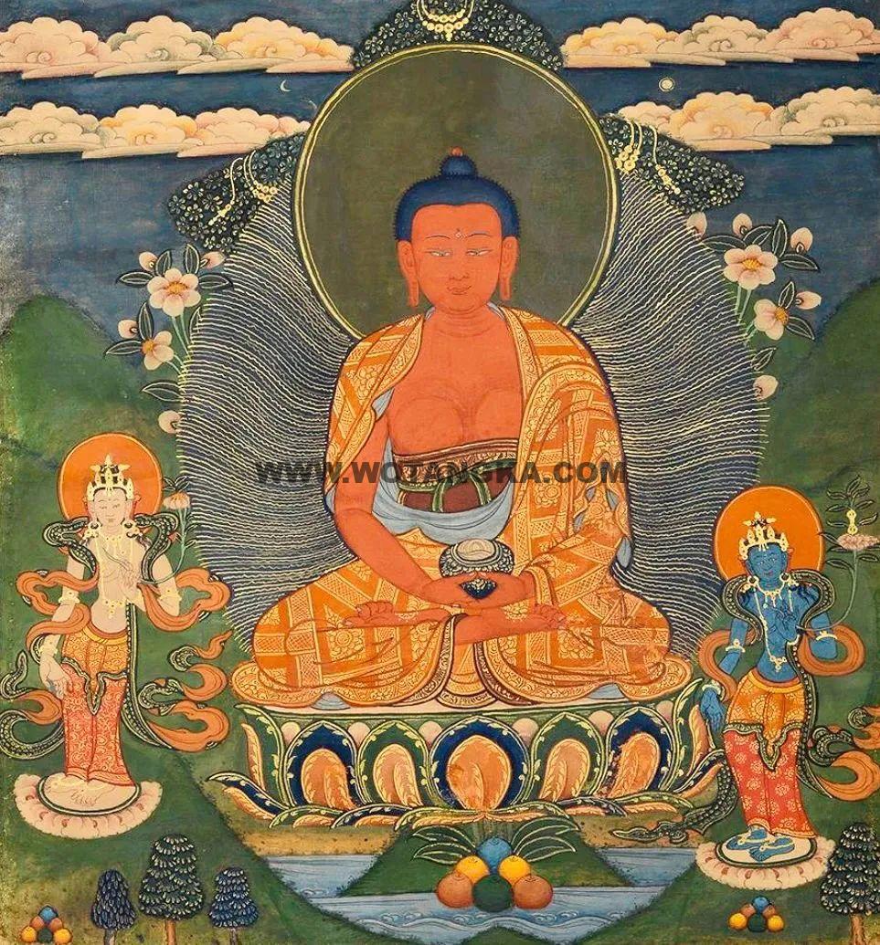 沃唐卡编号AC41463：阿弥陀佛