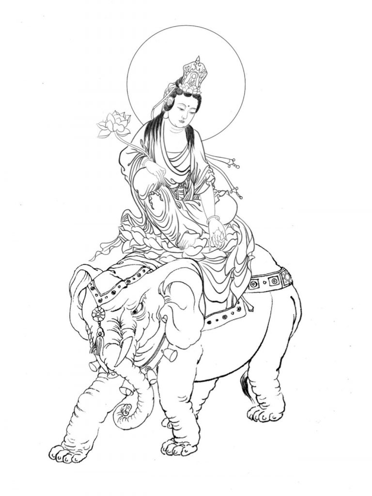 沃唐卡-唐卡白描线稿编号RD32284：骑象普贤菩萨