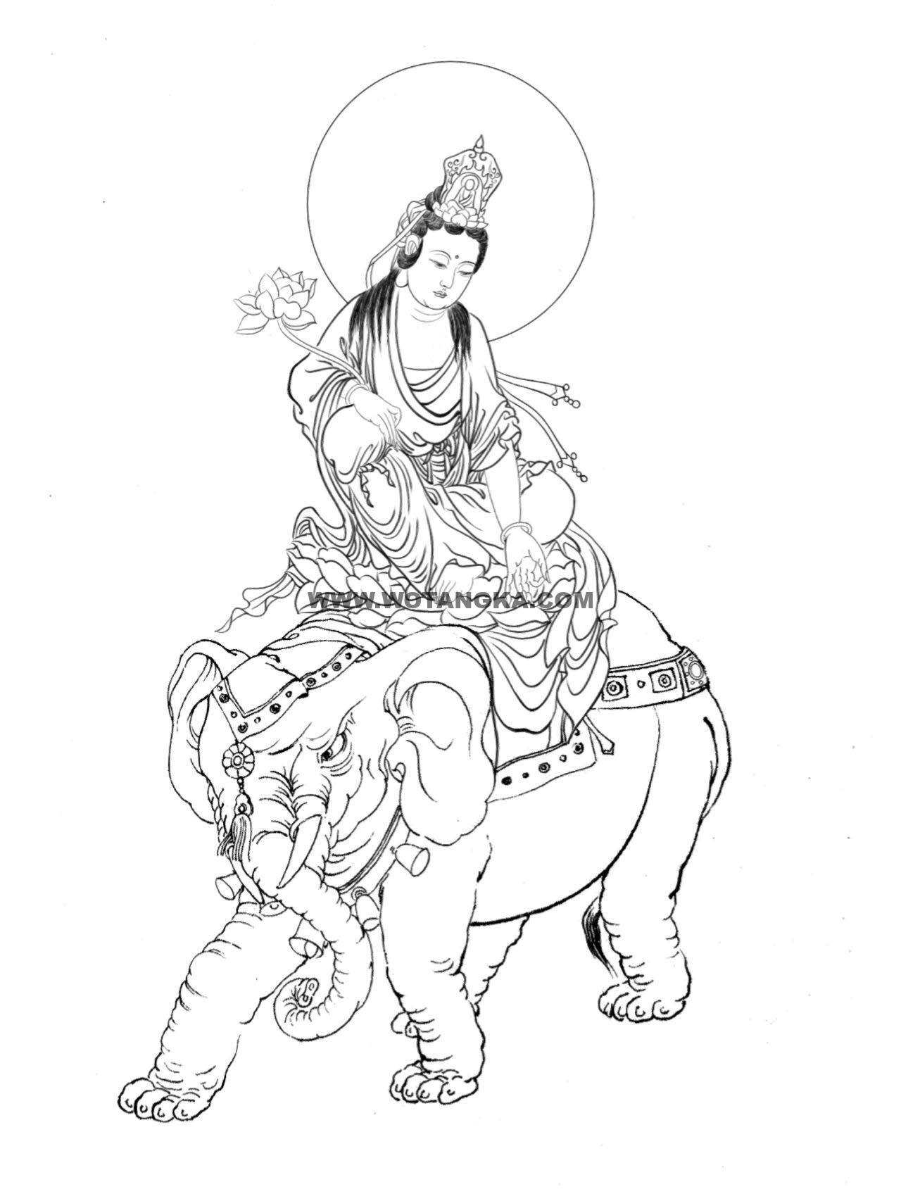 沃唐卡-唐卡白描线稿编号RD32284:骑象普贤菩萨