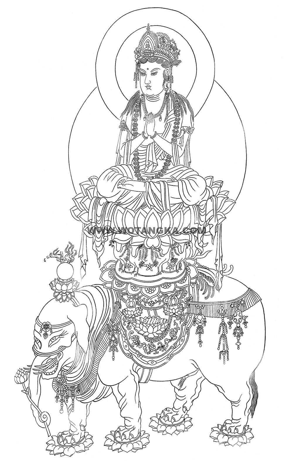 沃唐卡-唐卡白描线稿编号RD46963：骑象宝莲普贤菩萨