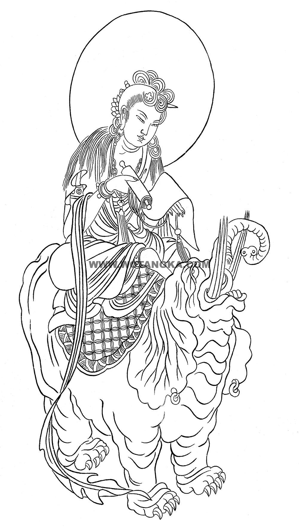 沃唐卡-唐卡白描线稿编号RD58211：骑象读经普贤菩萨