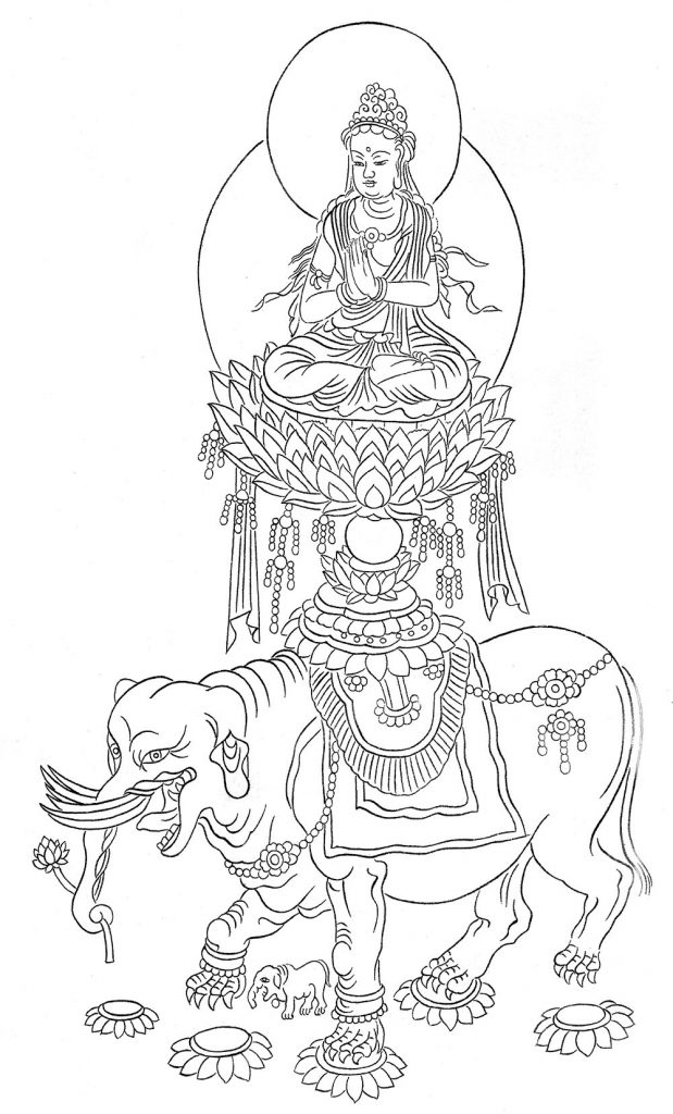 沃唐卡-唐卡白描线稿编号RD63227：踏莲骑象普贤菩萨