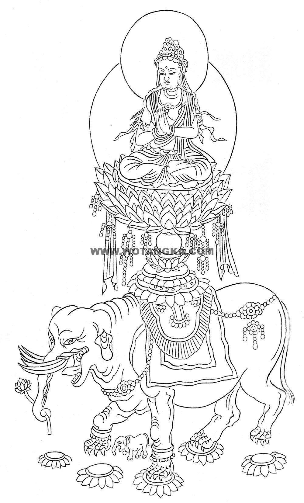 沃唐卡-唐卡白描线稿编号RD63227:踏莲骑象普贤菩萨
