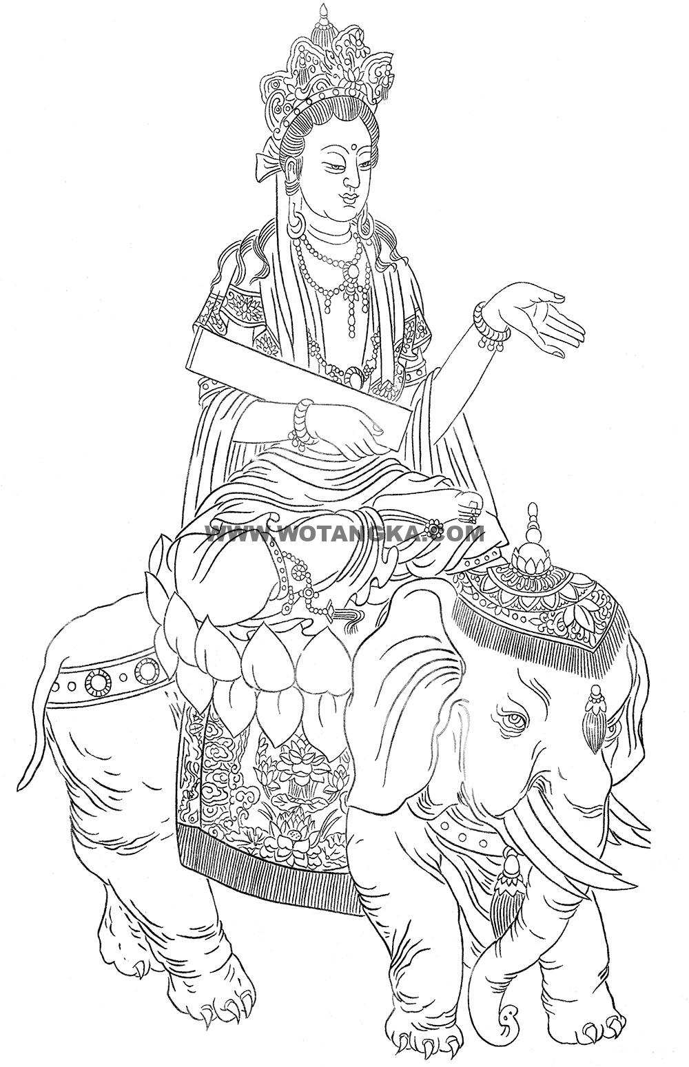 沃唐卡-唐卡白描线稿编号RD67271：骑象持经普贤菩萨