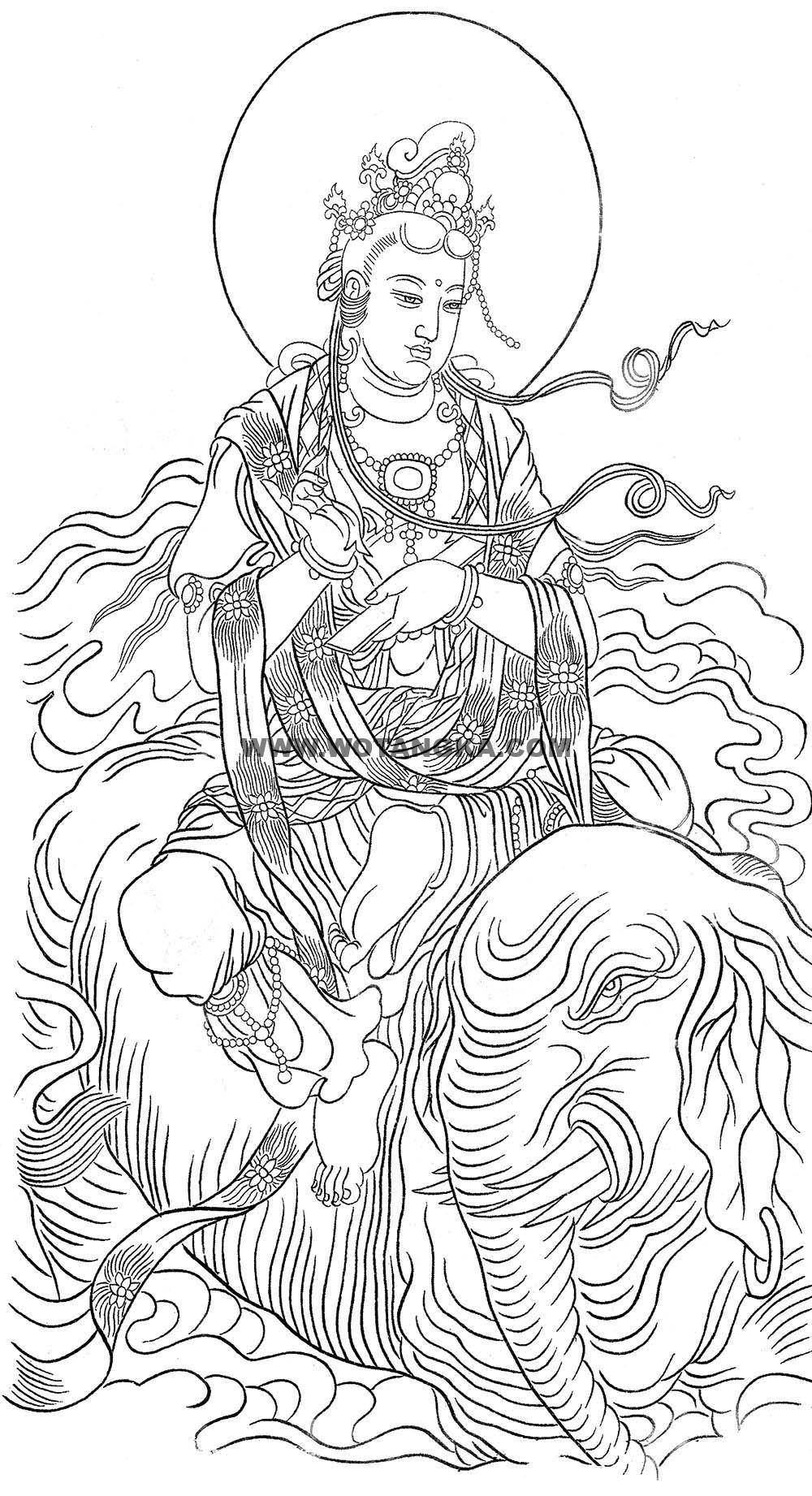 沃唐卡-唐卡白描线稿编号RD75615:骑象持经普贤菩萨