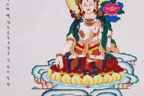 编号138-201580：彩绘唐卡-白度母（60*45CM左右）