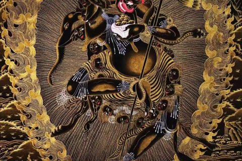 编号138-552656：黑金唐卡-狮面空行母（75*50CM左右）