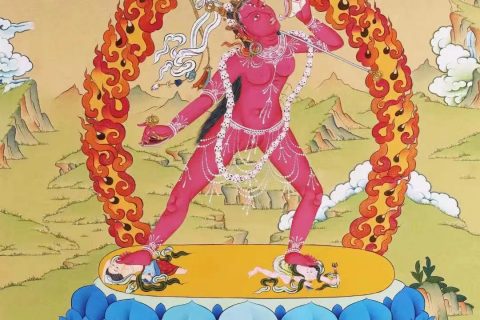 编号138-625140：彩绘唐卡-金刚亥母（60*42CM左右）