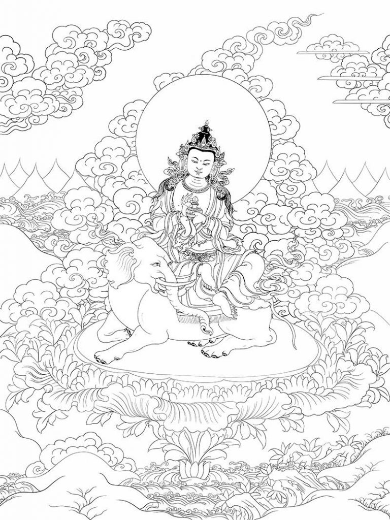 沃唐卡-唐卡白描线稿编号RD88845：普贤菩萨