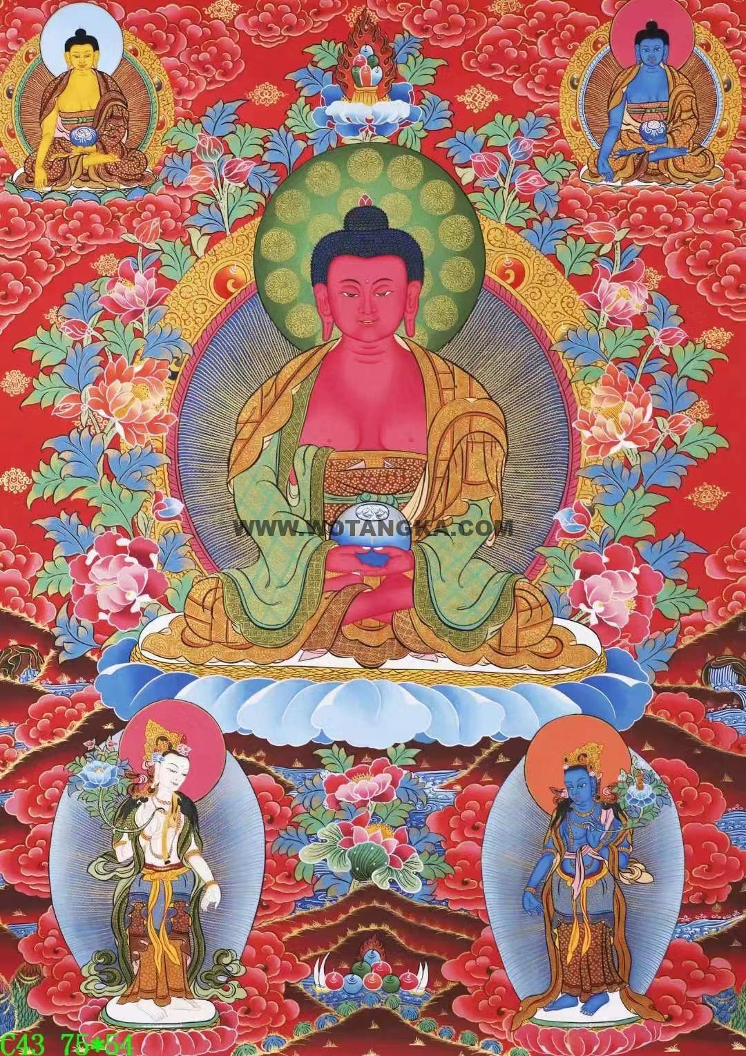 编号138-604258：彩绘唐卡-阿弥陀佛（75*54CM左右）