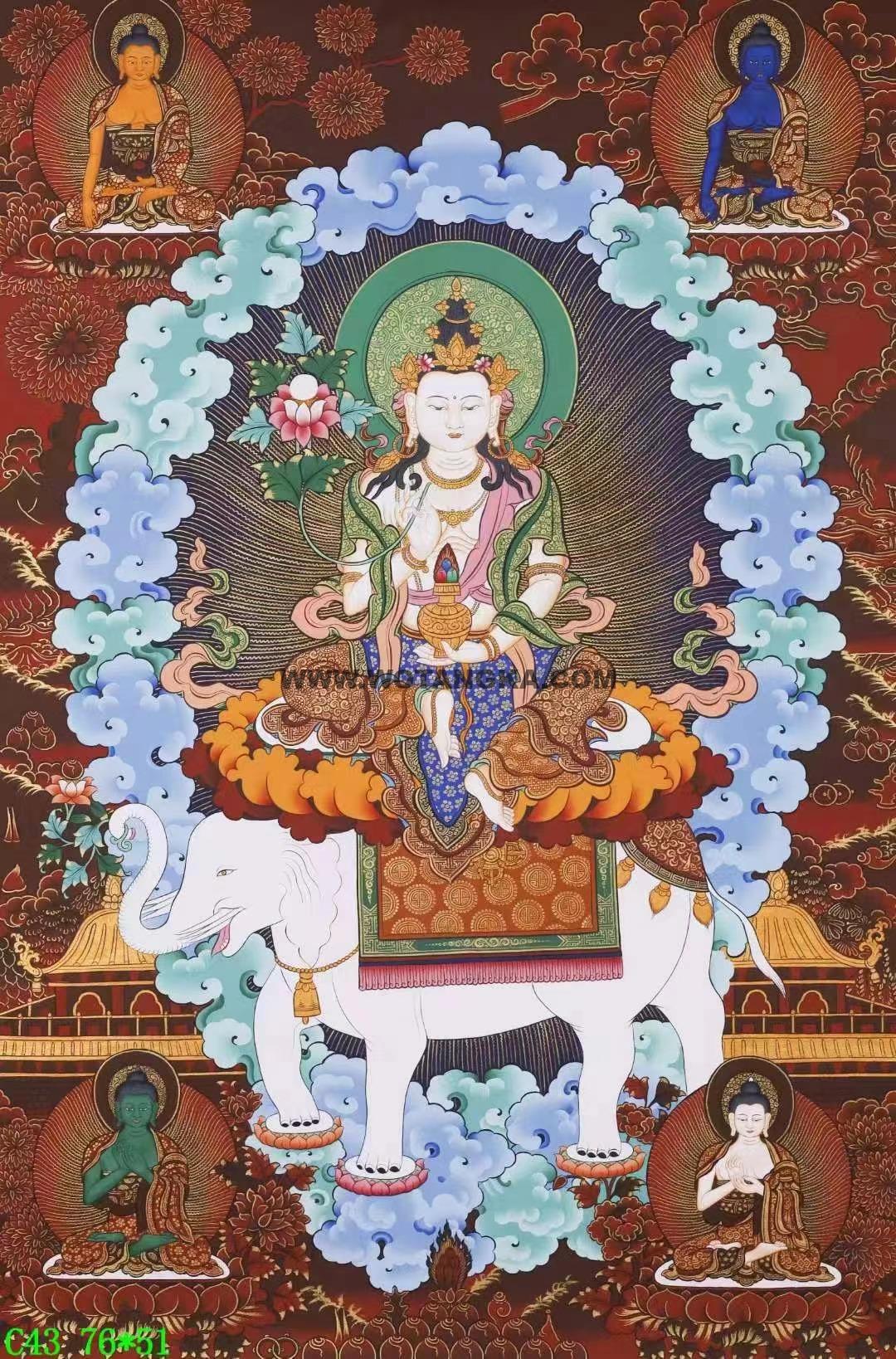 编号138-410138：彩绘唐卡-普贤菩萨（76*51CM左右）