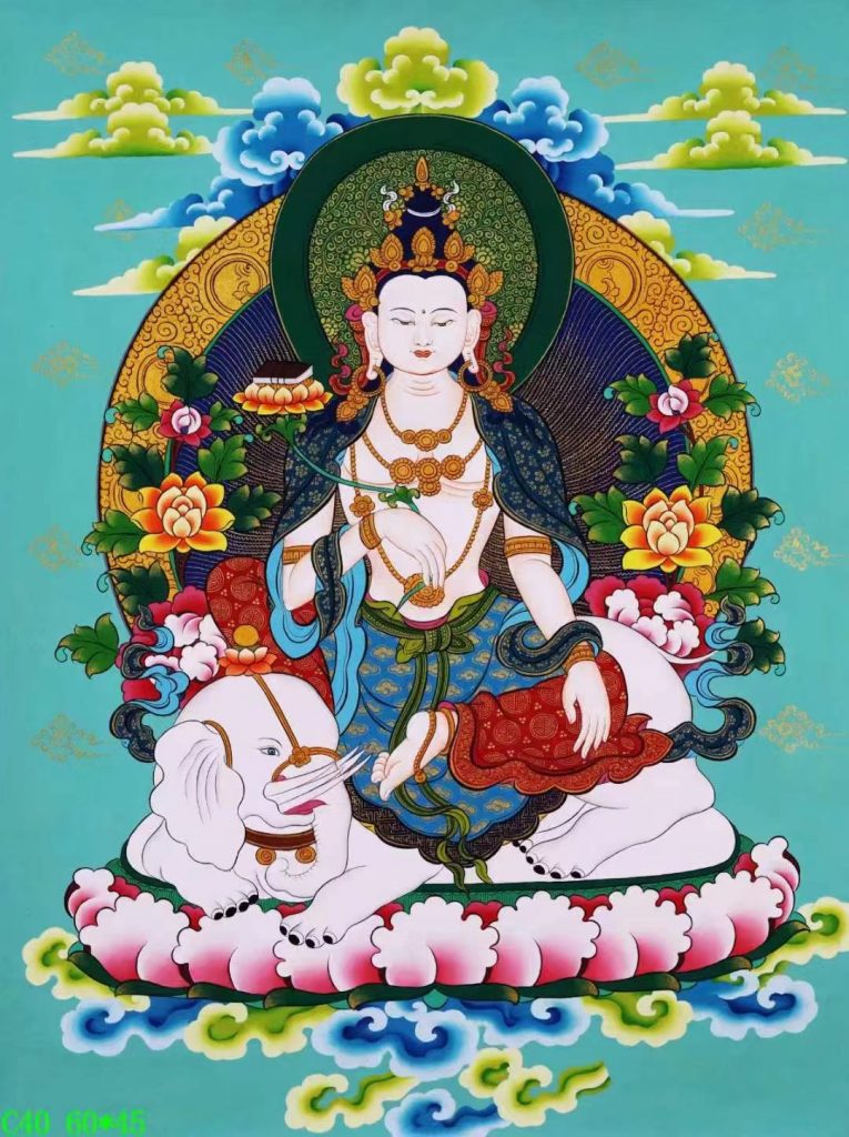编号138-309863：彩绘唐卡-普贤菩萨（60*45CM左右）