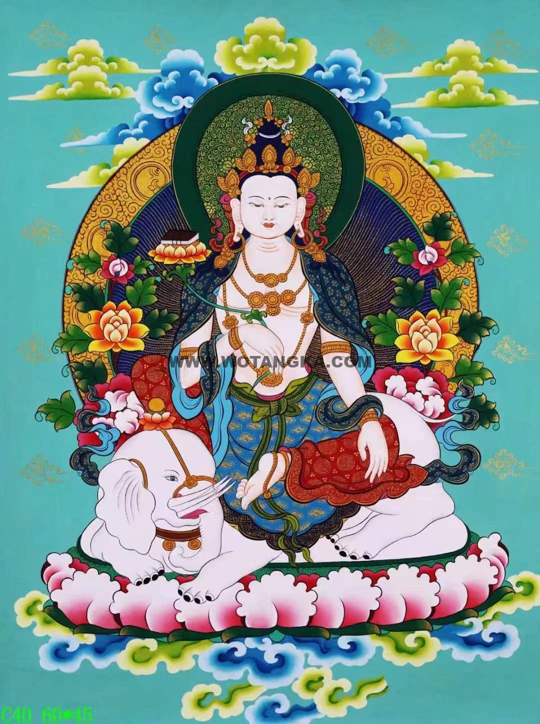 编号138-309863:彩绘唐卡-普贤菩萨(60*45CM左右)