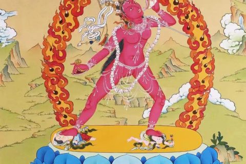 编号138-548719：彩绘唐卡-那洛空行母（60*42CM左右）