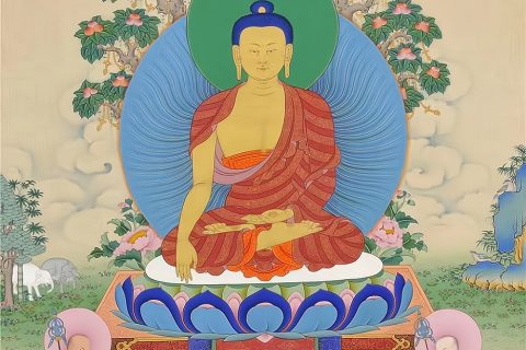 编号188-861129：嘎玛嘎赤-释迦牟尼佛（70*50CM左右）
