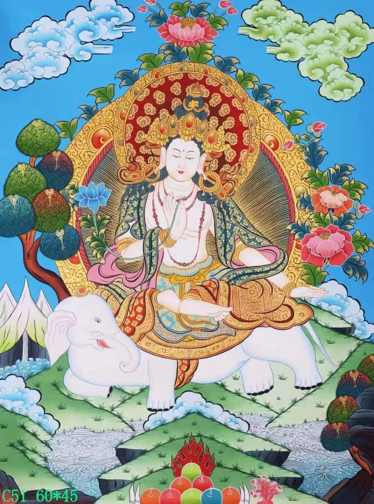 编号138-321111：彩绘唐卡-普贤菩萨（60*45CM左右）