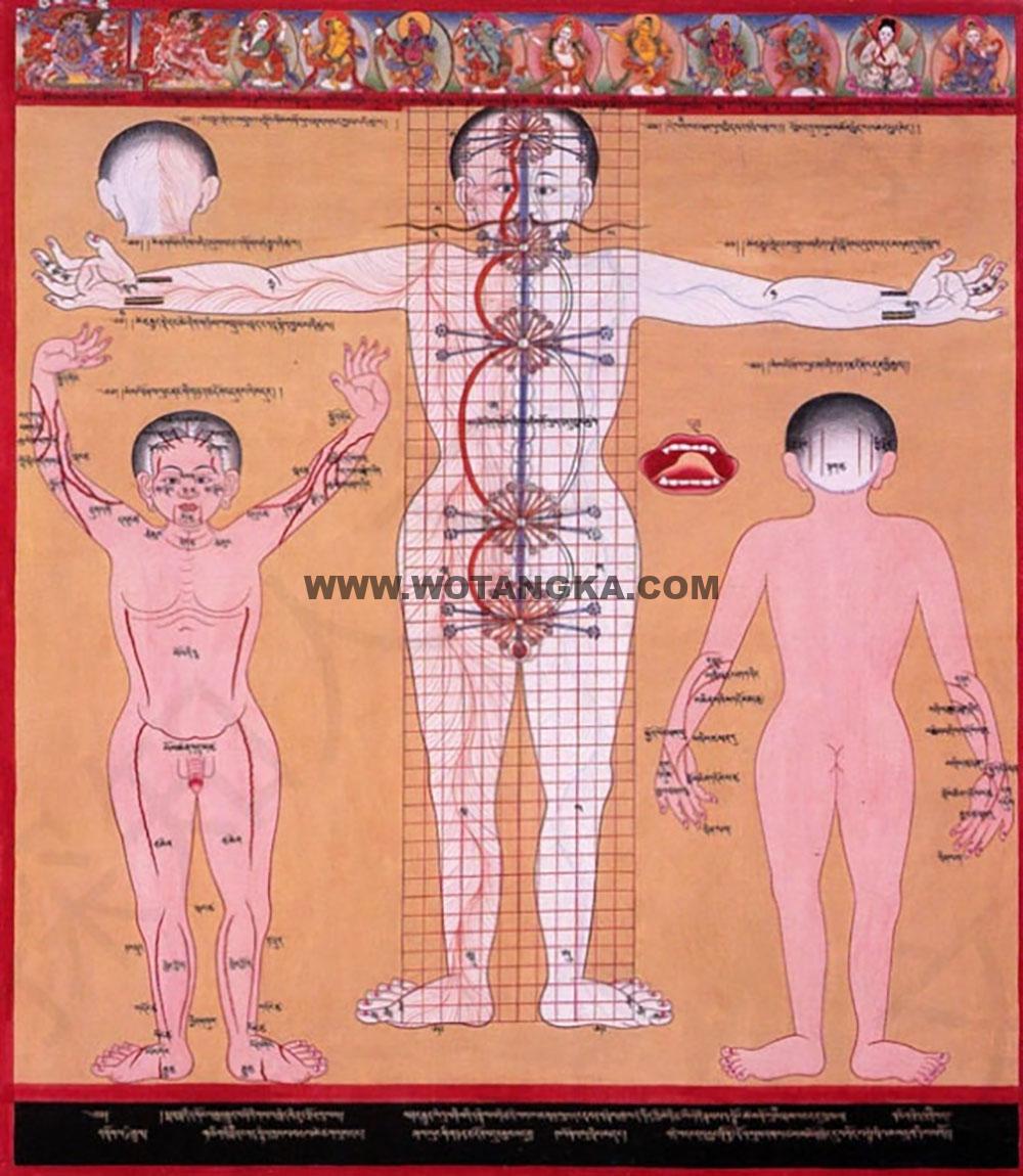沃唐卡编号AC62478:人体脉轮图