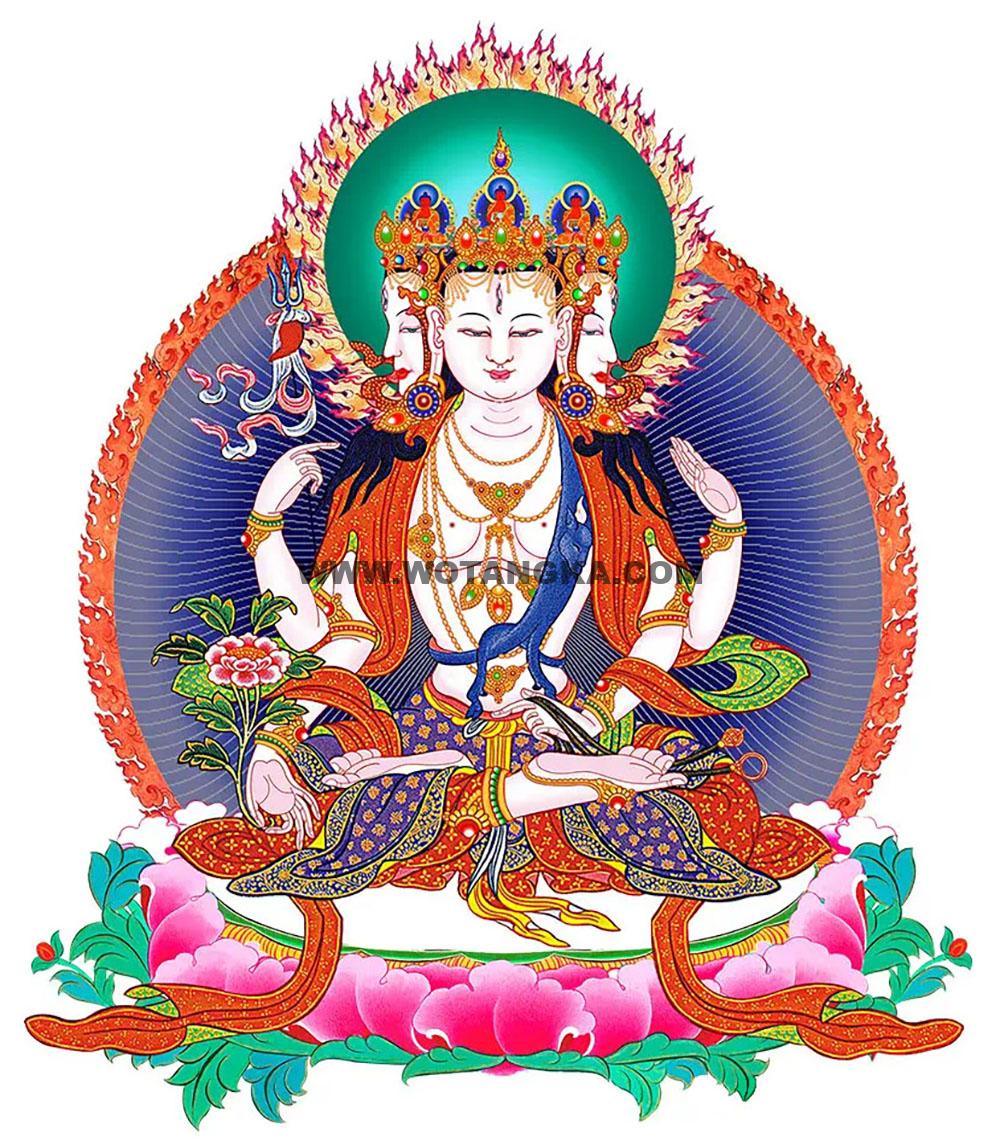 沃唐卡编号AC32110：不空罥索观音