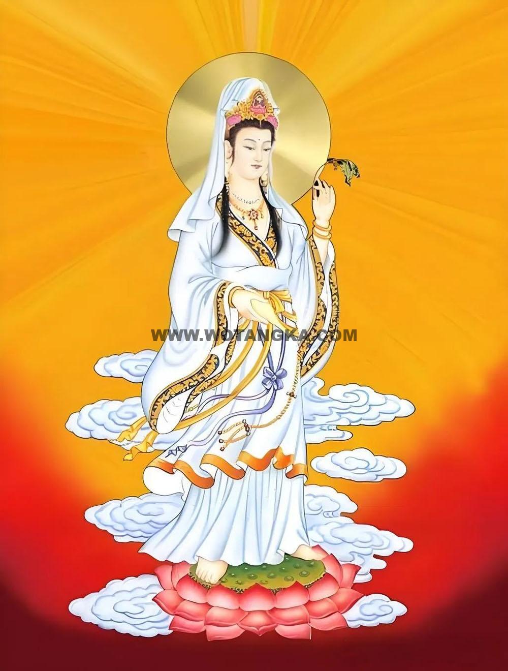 沃唐卡编号AC48239：洒水观音