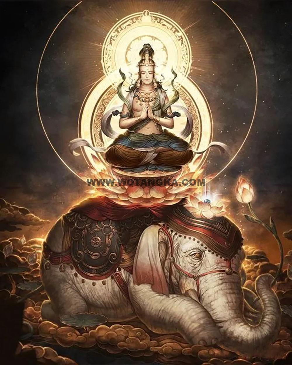 沃唐卡编号AC29998:普贤菩萨