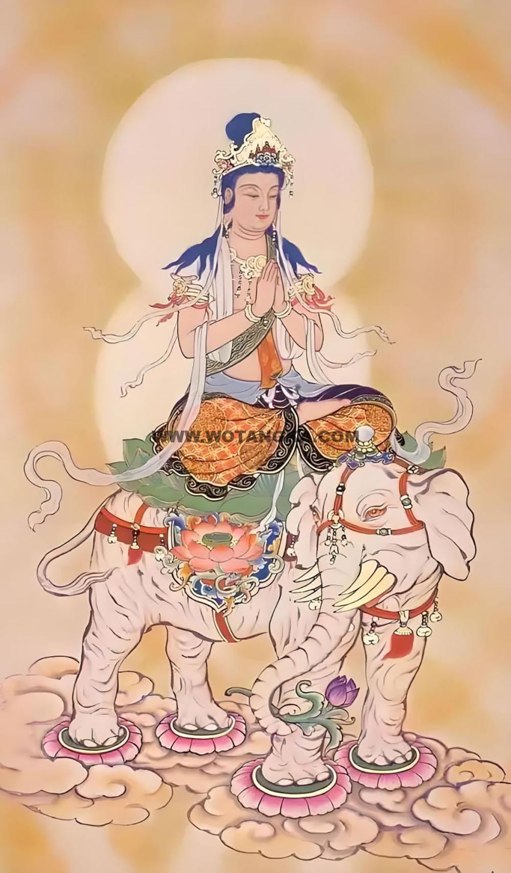 沃唐卡编号AC54492：普贤菩萨
