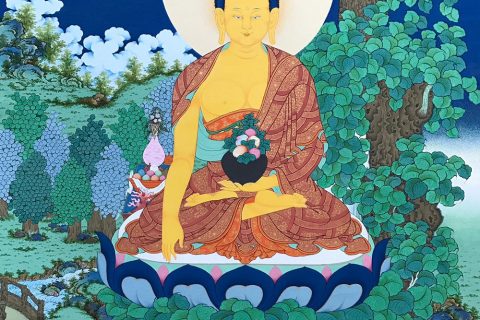 编号189-182772：彩绘唐卡-释迦牟尼佛（60*40CM左右）