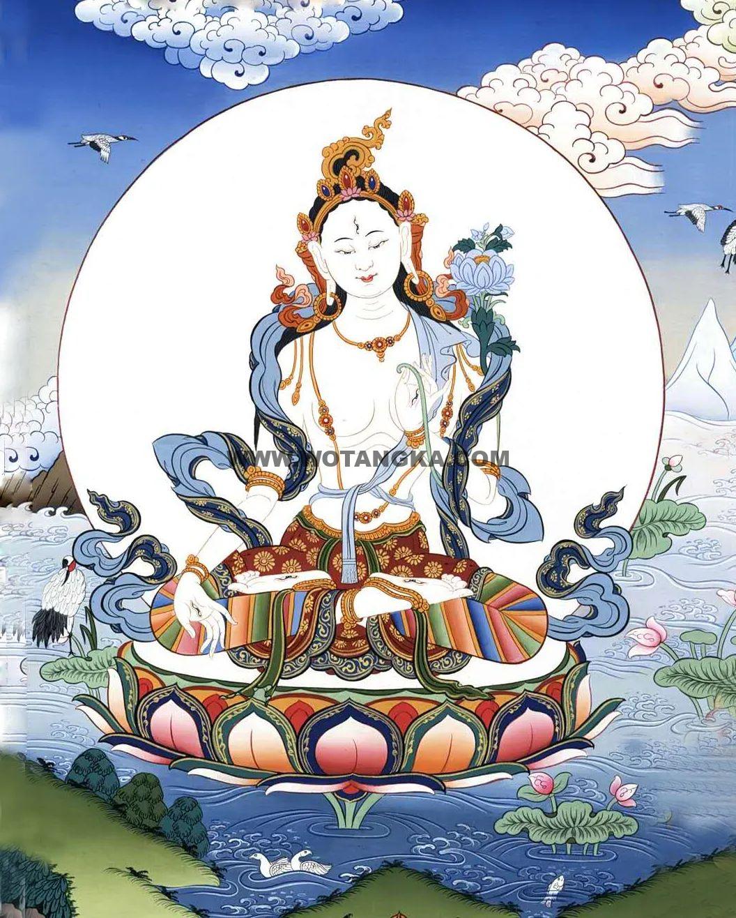 沃唐卡编号AC51239：白度母