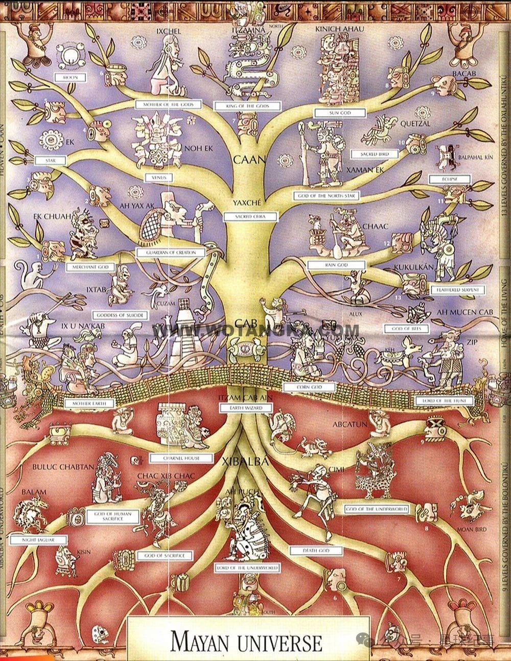 沃唐卡编号AC14973：玛雅宇宙树
