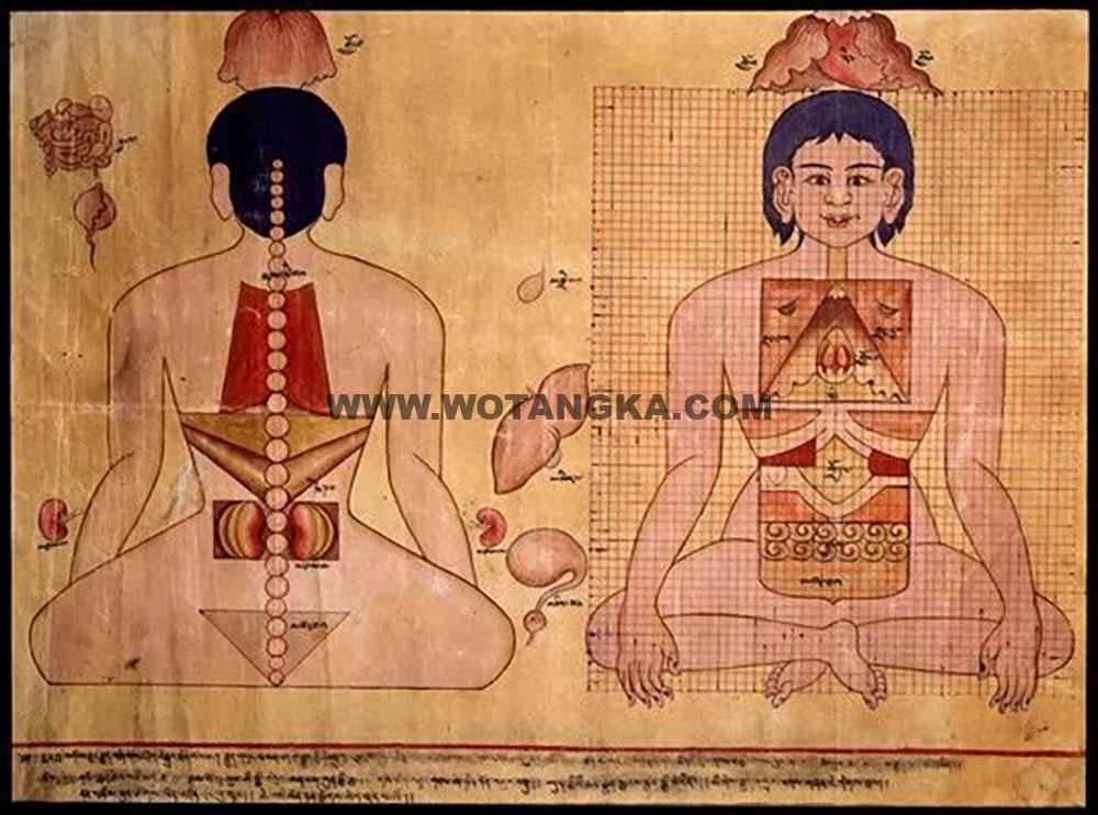 沃唐卡编号AC46238:藏医人体解剖图