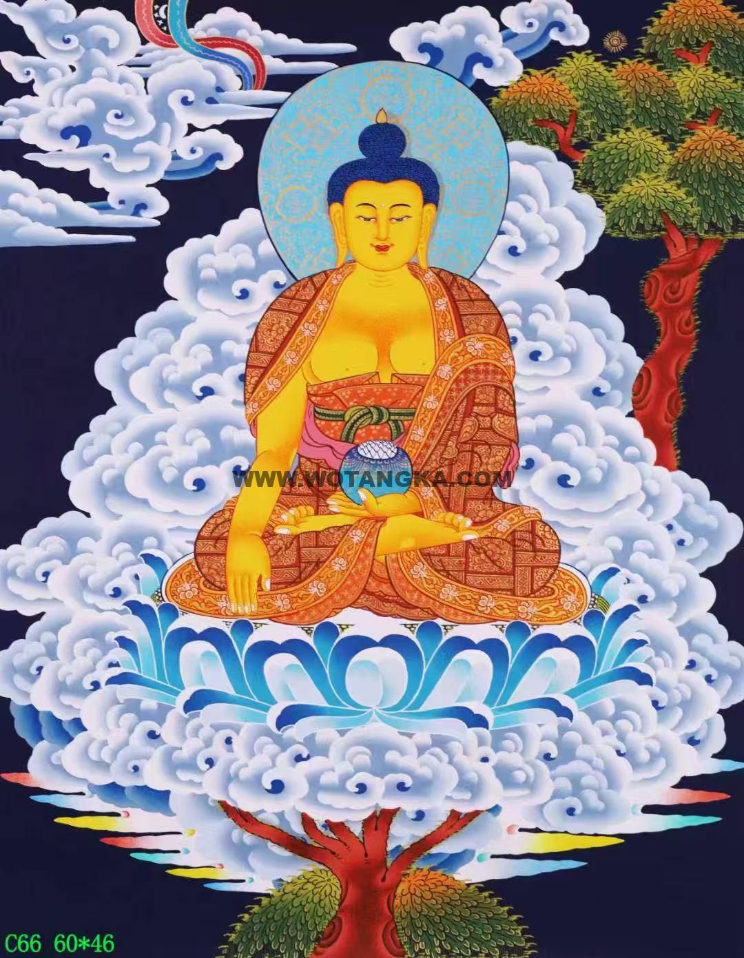 编号138-857394：彩绘唐卡-释迦牟尼佛（60*46CM左右）