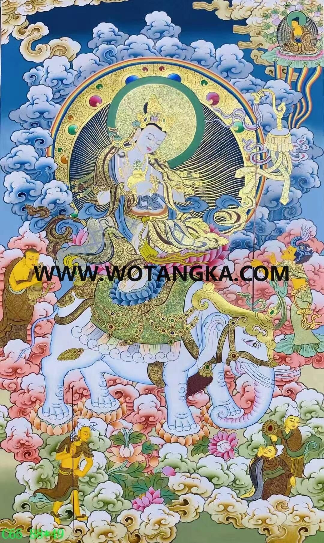 编号138-281916：彩绘唐卡-普贤菩萨（88*49CM左右）