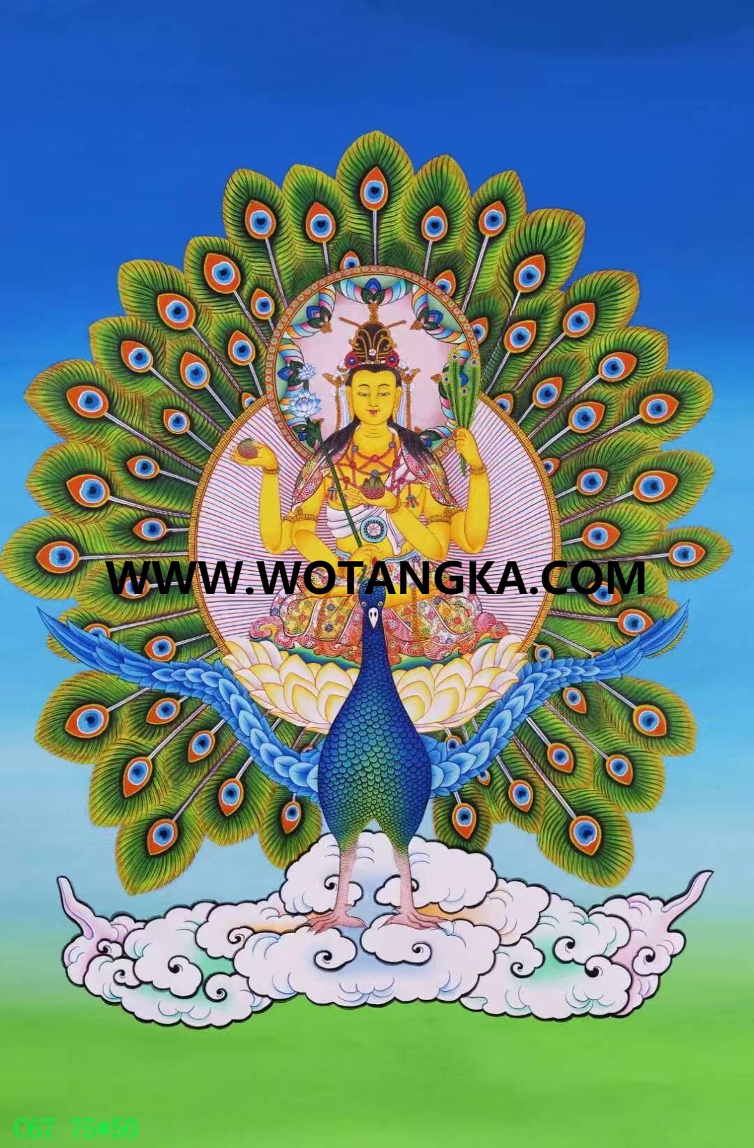 编号138-234783：彩绘唐卡-孔雀大明王（75*50CM左右）