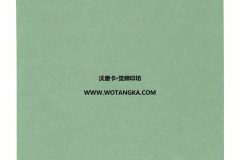 沃唐卡·觉蝉印坊：卡纸编号MAT0123-天鹅绒纹薄荷绿色