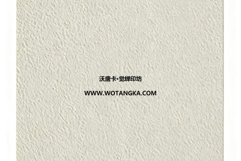 沃唐卡·觉蝉印坊：卡纸编号MAT0127-细砂皮纹米白色