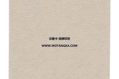 沃唐卡·觉蝉印坊：卡纸编号MAT0134-细水皮纹米白色