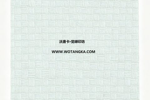 沃唐卡·觉蝉印坊：卡纸编号MAT0142-编织席纹薄荷绿色