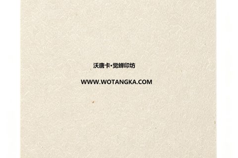 沃唐卡·觉蝉印坊：卡纸编号MAT0143-细雅皮纹奶白色