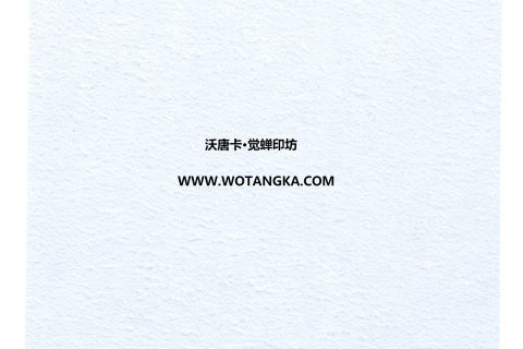 沃唐卡·觉蝉印坊：卡纸编号MAT0147-磨砂皮纹浅蓝白色